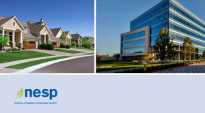 Website image template - webinar NESP